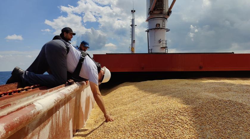 Украина нашла новый способ отправить зерно в Европу