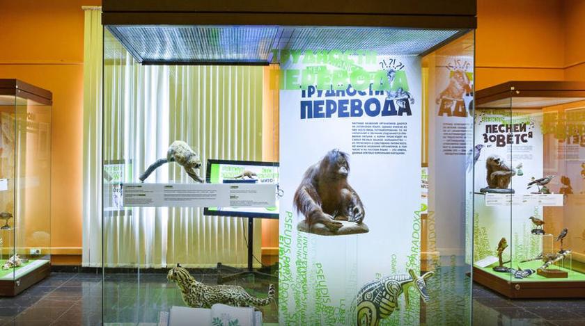 Сергей Собянин: Московская музейная неделя пройдет с 10 по 16 апреля