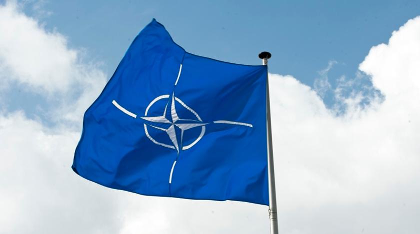 Генерал НАТО назвал Украину "пушечным мясом Запада"