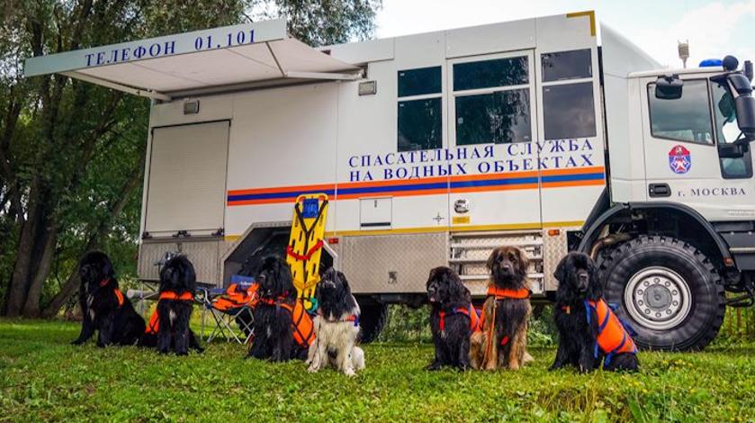 На Московском урбанфоруме в Лужниках расскажут работе кинологических групп и подготовке собак-спасателей