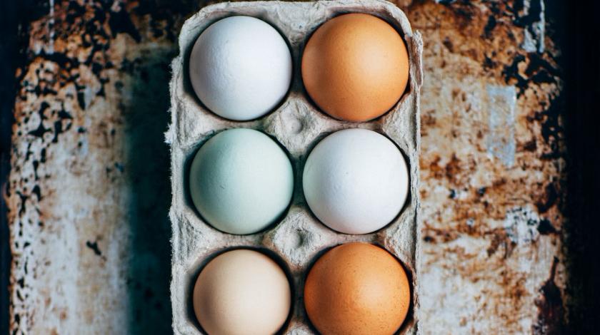Почему яйца строго запрещается хранить в холодильнике 