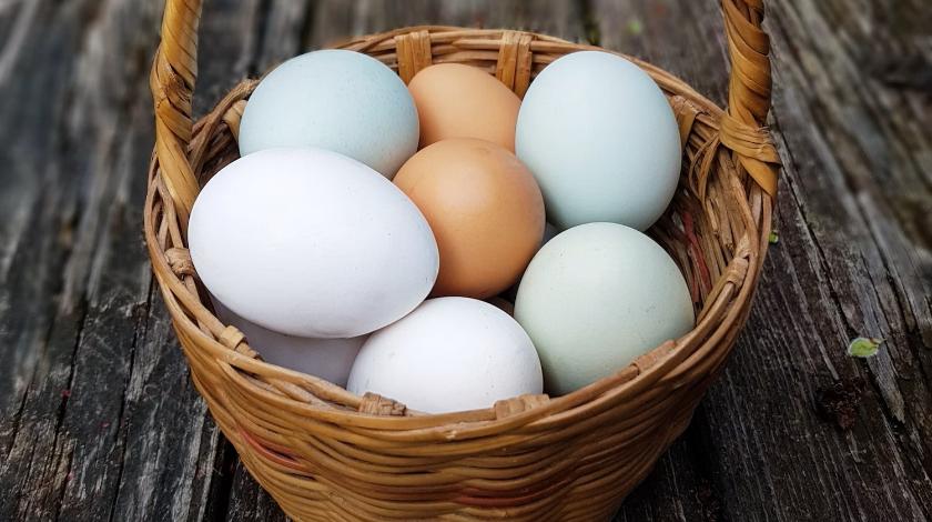 Почему коричневые яйца стоят дороже белых: раскрыт неожиданный секрет