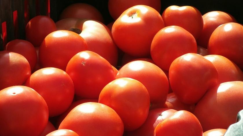 Почему помидоры категорически нельзя хранить в холодильнике