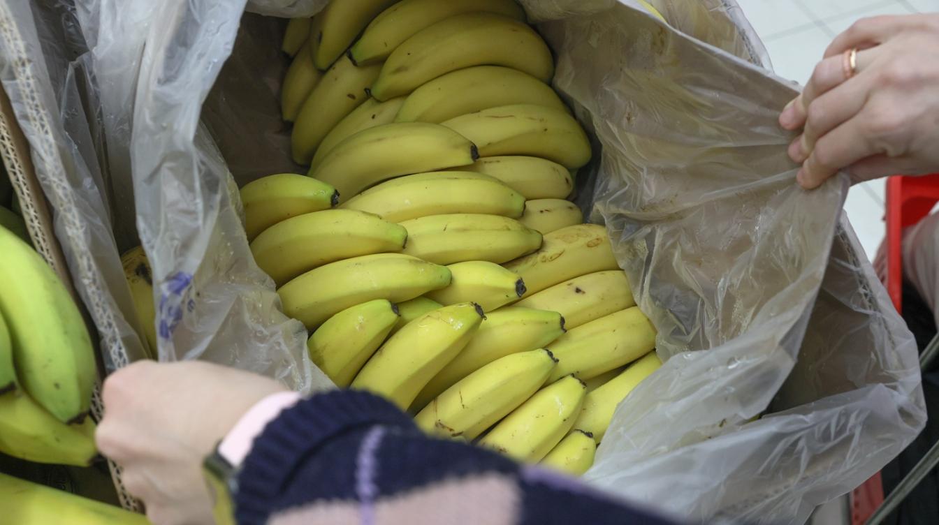 Эксперт предупредил о возможном дефиците бананов в России