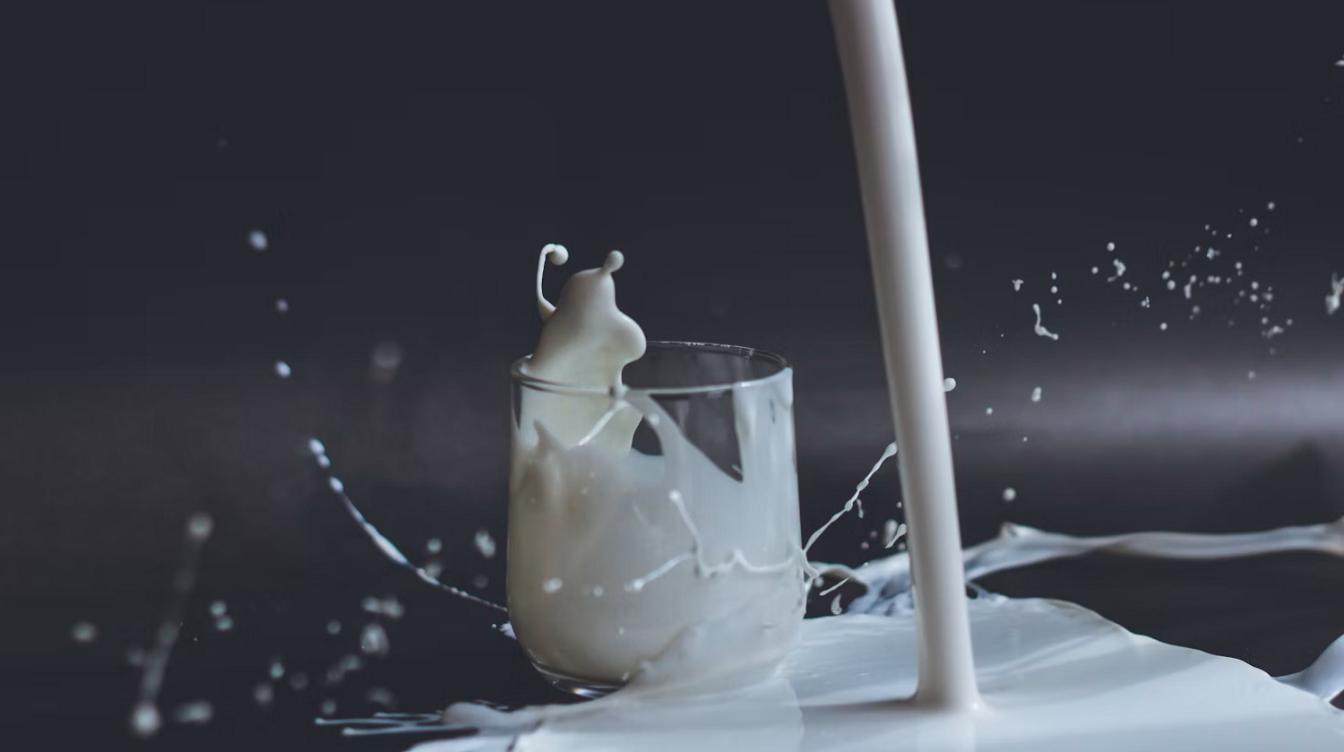 Как жирность молока влияет на его пользу 