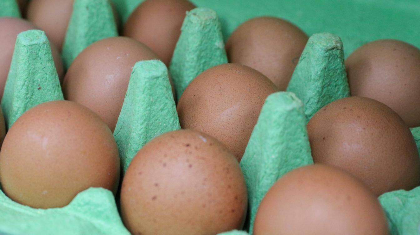 Торговые сети ответили россиянам на жалобы по поводу резкого подорожания яиц