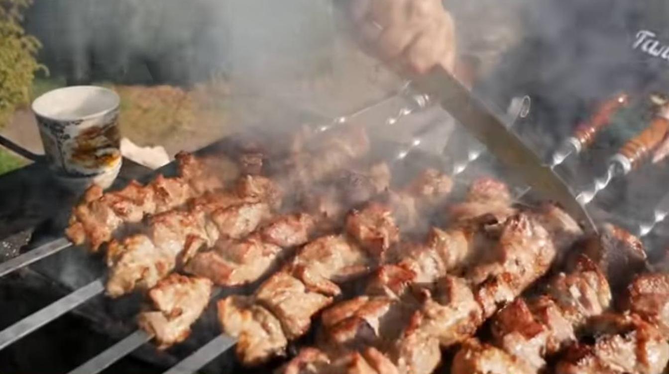 Куриный шашлык в апельсиновом маринаде: рецепт нежного мяса для пикника