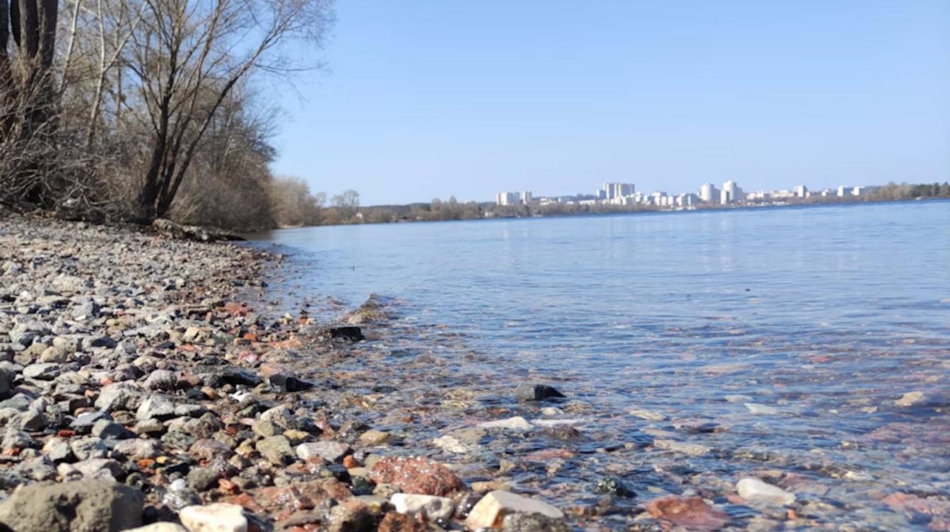 В Республике Беларусь стартовал пилотный проект по экологическому мониторингу поверхностных вод