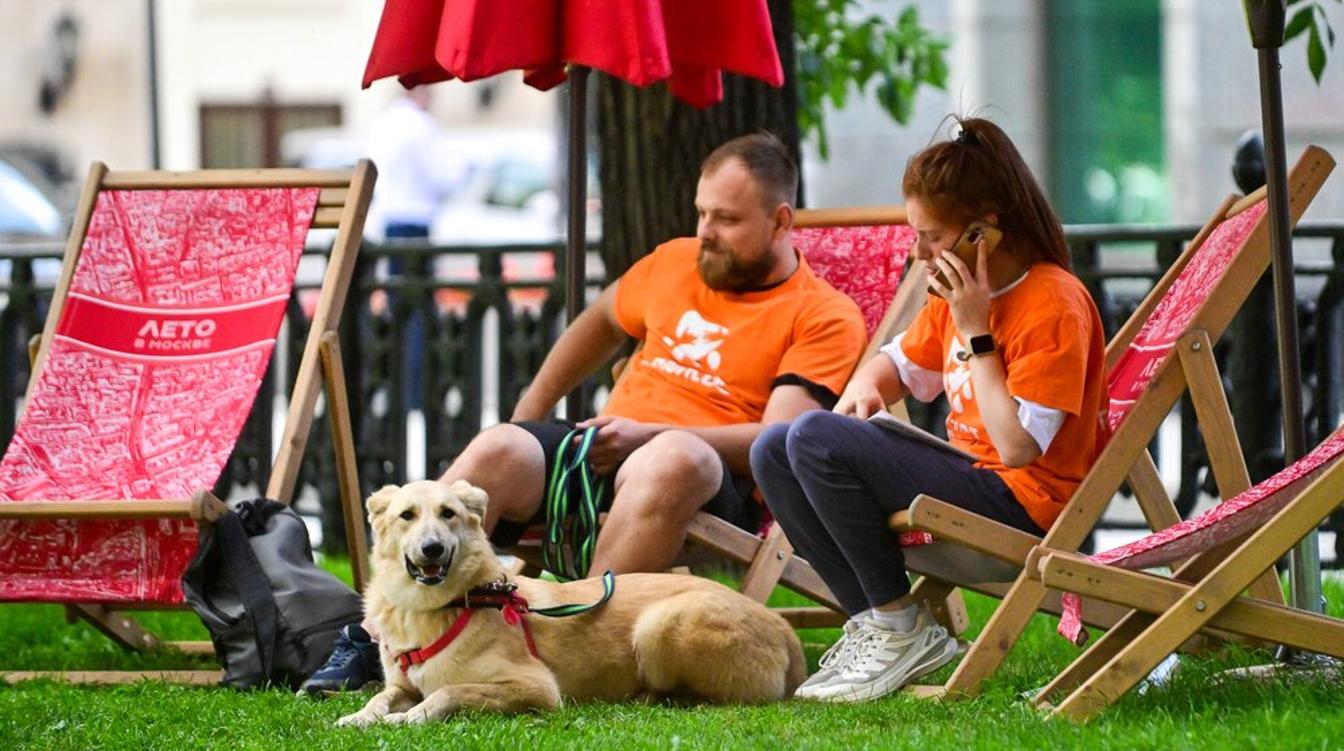 Инвестиции города в "Лето в Москве" поддерживают малый и средний бизнес