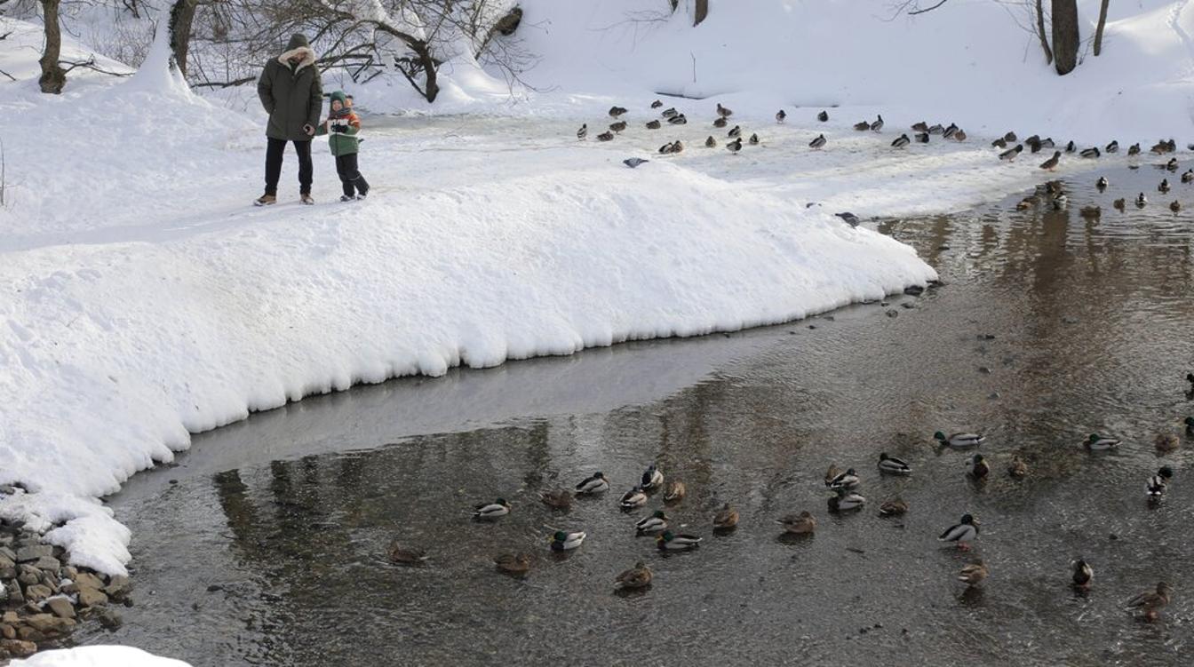 Малые реки и ручьи Москвы почистили перед весенним половодьем