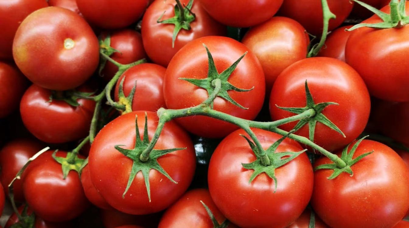 Ученые раскрыли, куда из магазинных помидоров исчез настоящий вкус