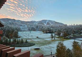 Фото: Утро.ру