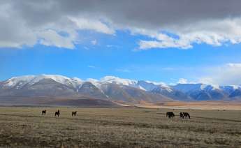 Фото: Утро.ру