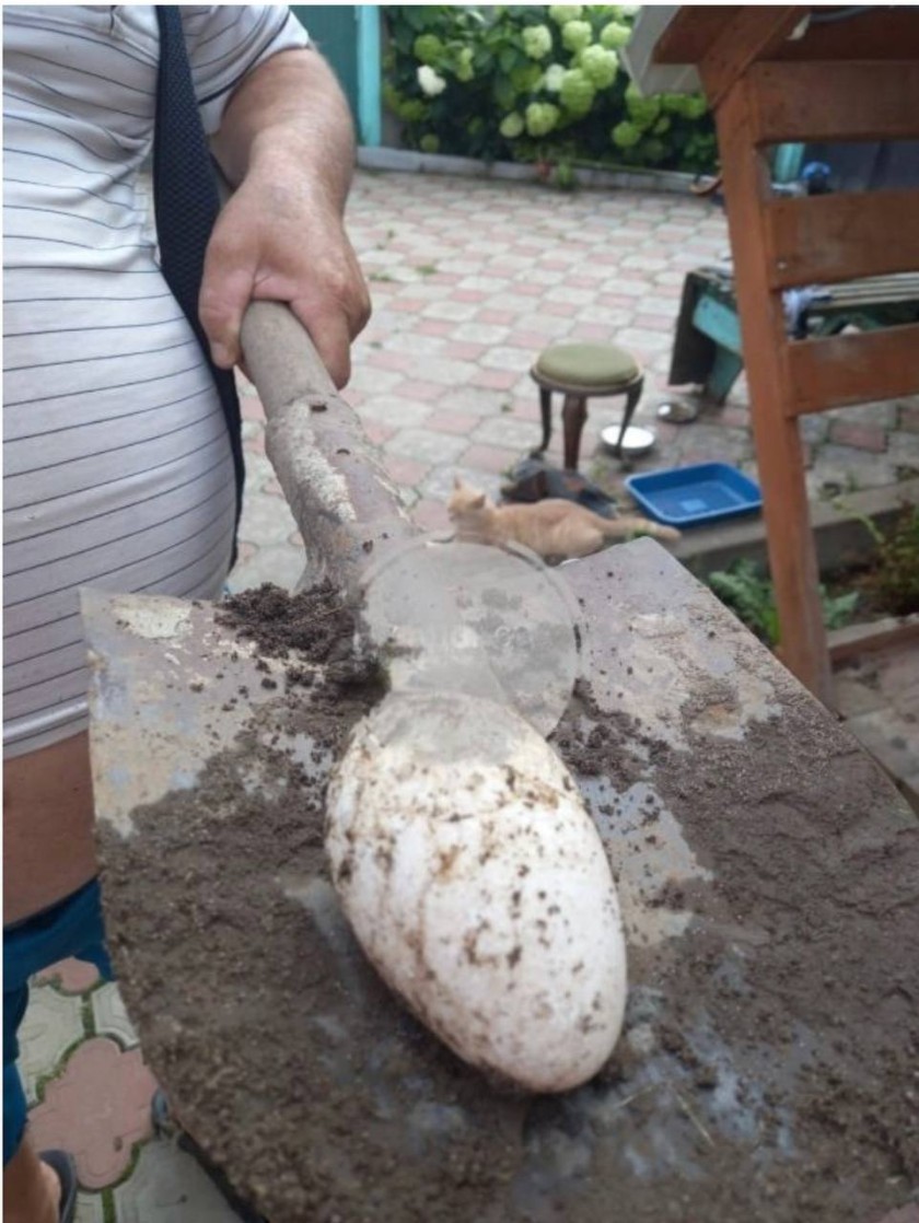 Фото: соцсети