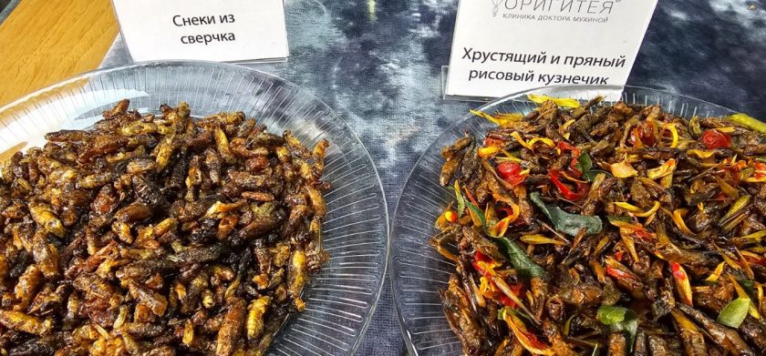 Фото: Феликс Грозданов / Утро.ру