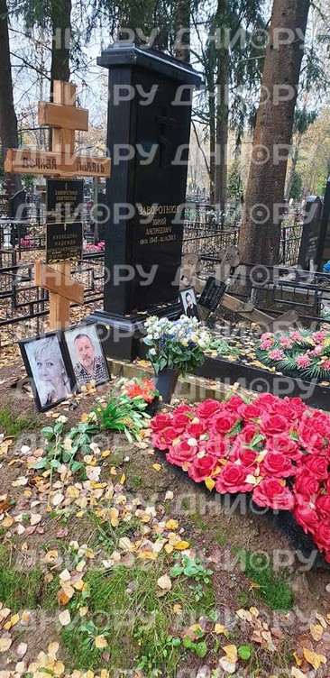 Фото: Дни.ру