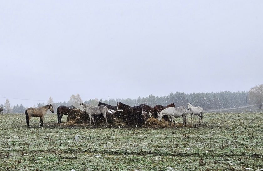 Фото: Утро.ру