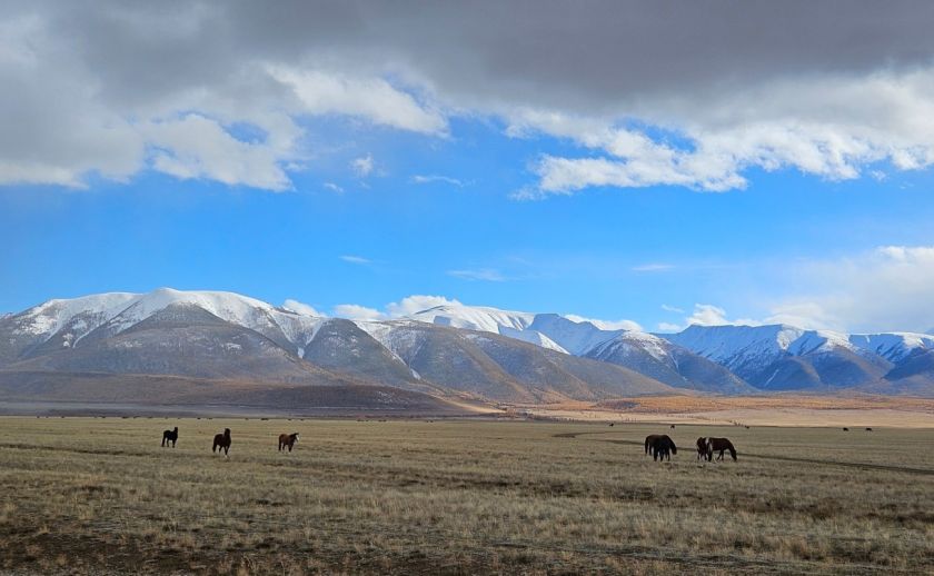 Фото: Утро.ру