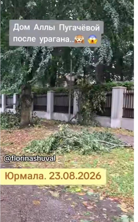 Фото: соцсети