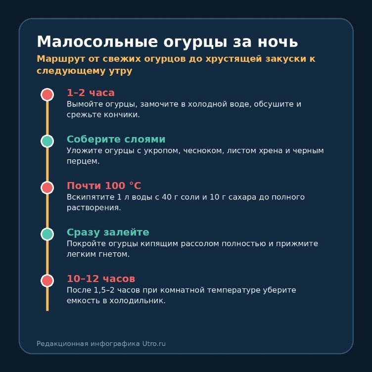 Малосольные огурцы за ночь