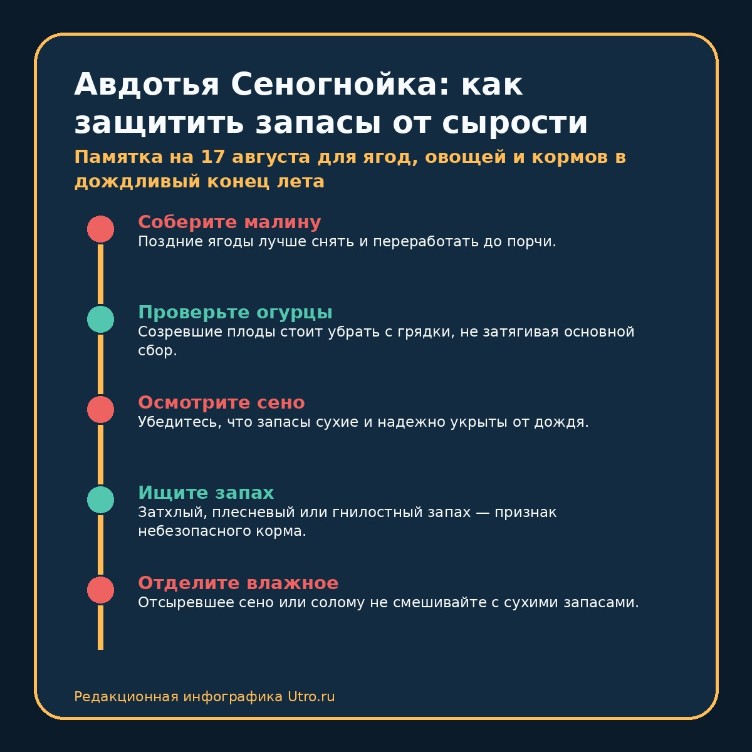 Авдотья Сеногнойка: как защитить запасы от сырости